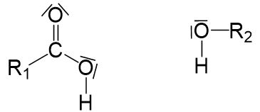 Nucleophile Substitution erklärt [mit Beispiel ...